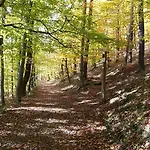 Πανσιόν Harzfokus - #hotel#pension#fruehstueck