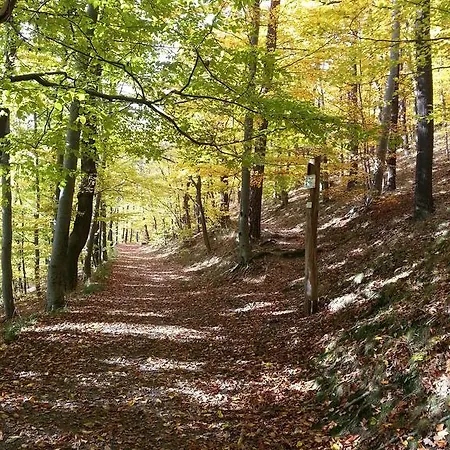 Gasthof Harzfokus - #hotel#pension#frühstück