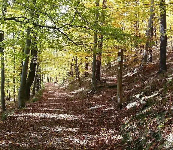 Pensionat Harzfokus - #hotel#pension#fruehstueck